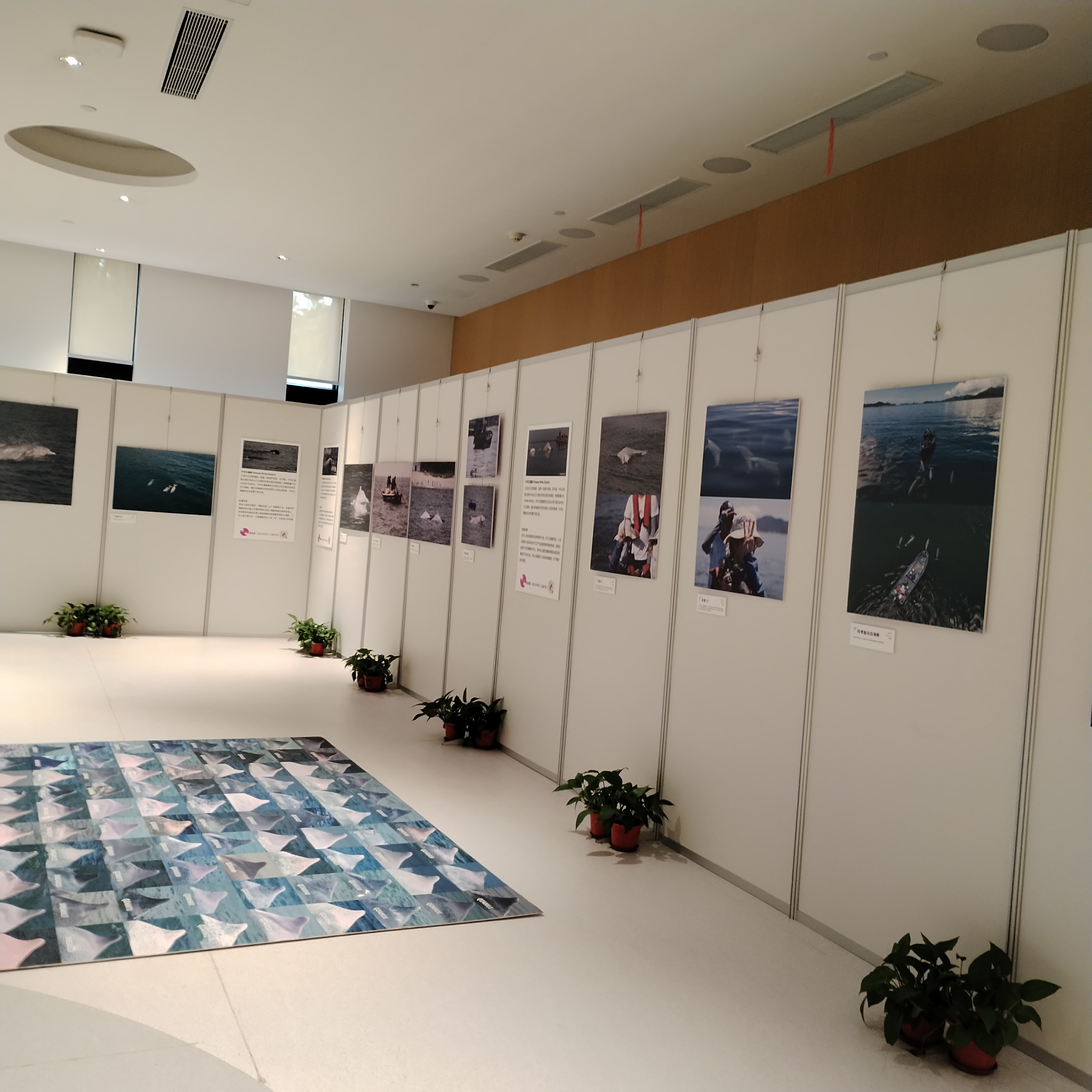 八棱柱展板 